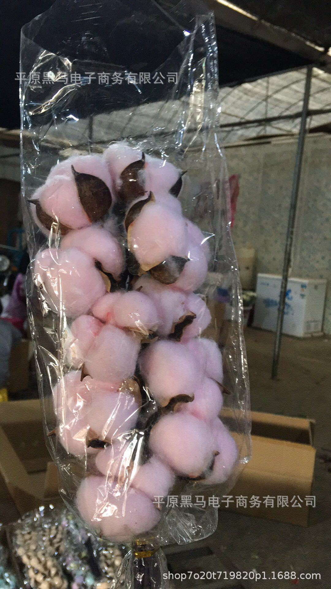 Xinjiang color natural cotton dried flower immortal cotton bouquet kapok artificial flower DIY embossing material set