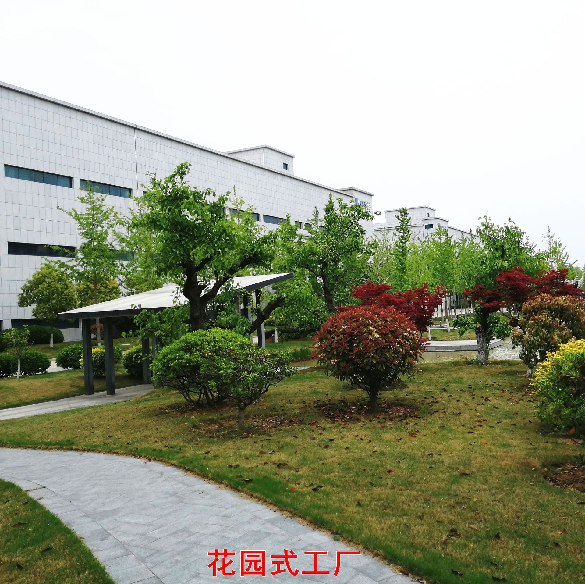 High-Quality Cassia Seeds, Computer Color Selection and Polishing, Pillow Beach Toys, First-Hand Source, Factory Direct Sales