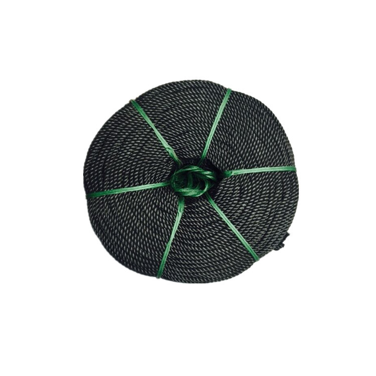 6mm Black Rope Binding Rope Nylon Rope Wear-resistant Clothesline Outdoor Truck Polyethylene Plastic Rope