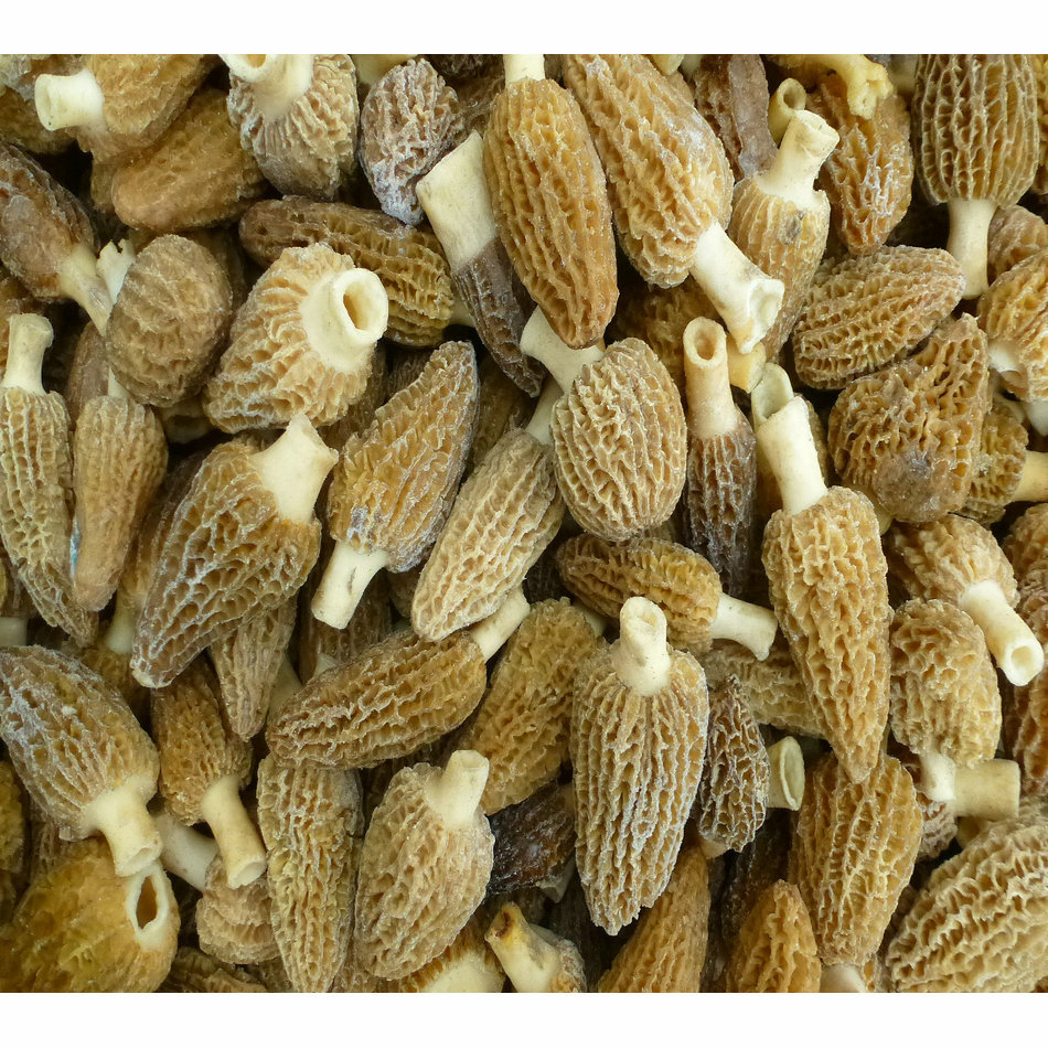 [yulianglong] Morel Hotel Morel Jelly Products Wholesale Mountain Treasures Delicious Morel Mushrooms Affordable
