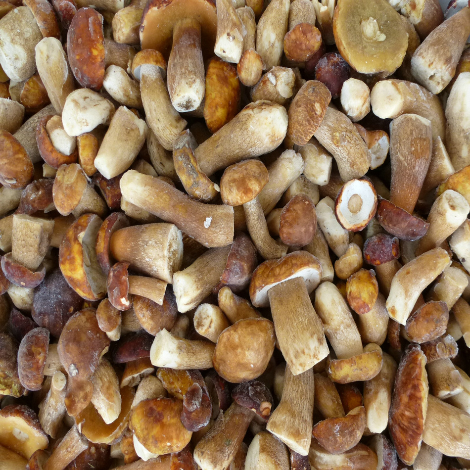 [yululong] Delicious Porcini Jelly, Quick-frozen Boletus Unified Goods, Wild Mushrooms, Boletus Jelly Products Wholesale