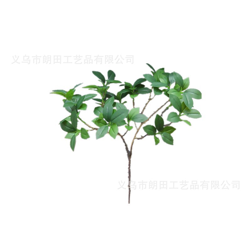 New imitation leaf fake plastic leaf single long pole feel holly leaf scenery decoration flower arrangement Banyan leaf