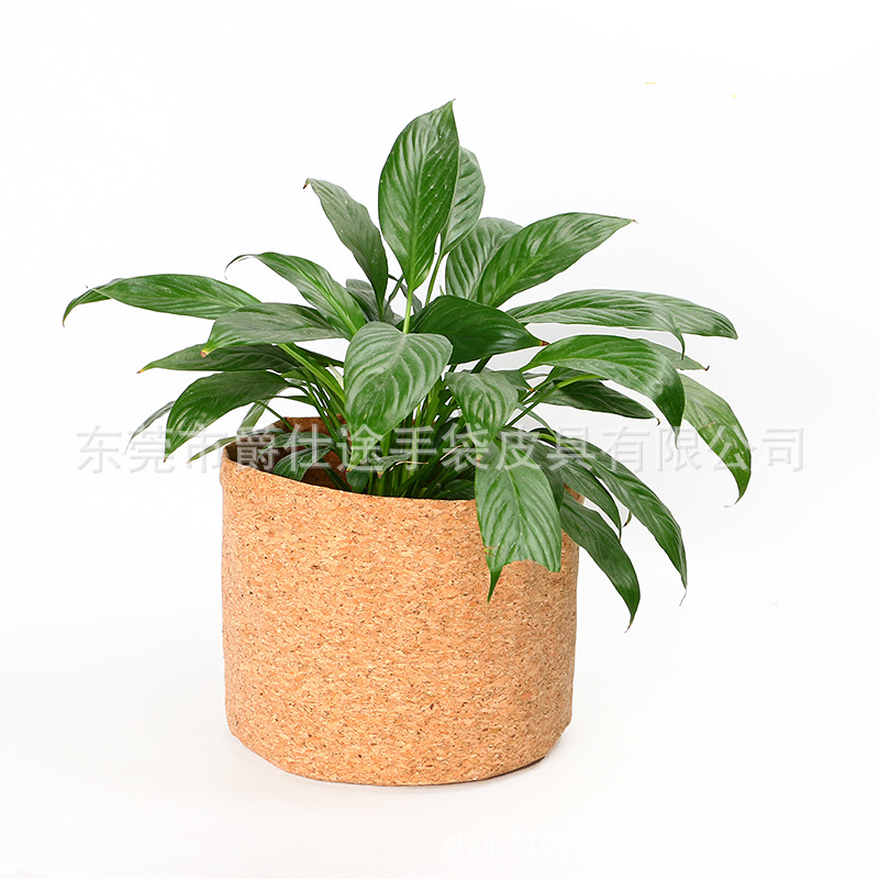 Scandinavian Succulent Cork Flowerpot, Environmentally Friendly and Simple Real Wood Storage Tube, Cylindrical Cork Flowerpot