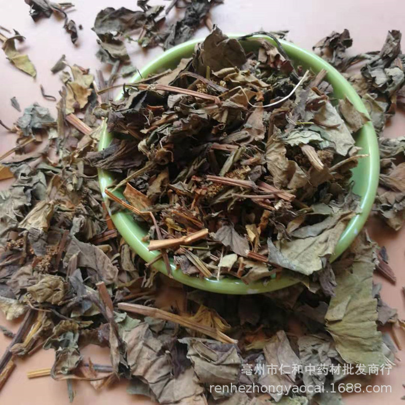 Origin and Supply of Houttuynia Cordata, Bulk Chinese Herbal Medicine Houttuynia Cordata, Large Wholesale Variety, Whole Houttuynia Cordata