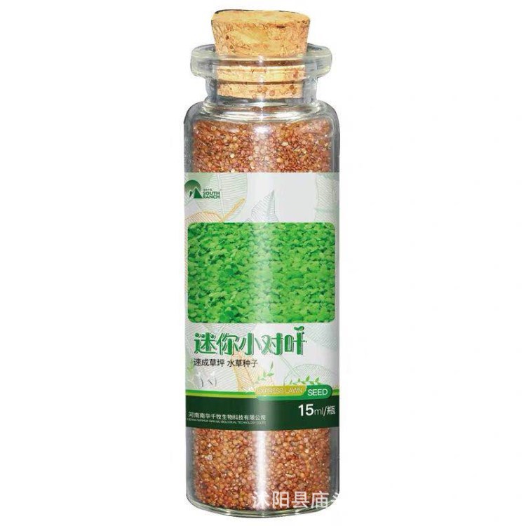 Wholesale mini leaf fish tank foreground grass water grass seeds landscaping beautiful aquatic plants spot large quantity discount