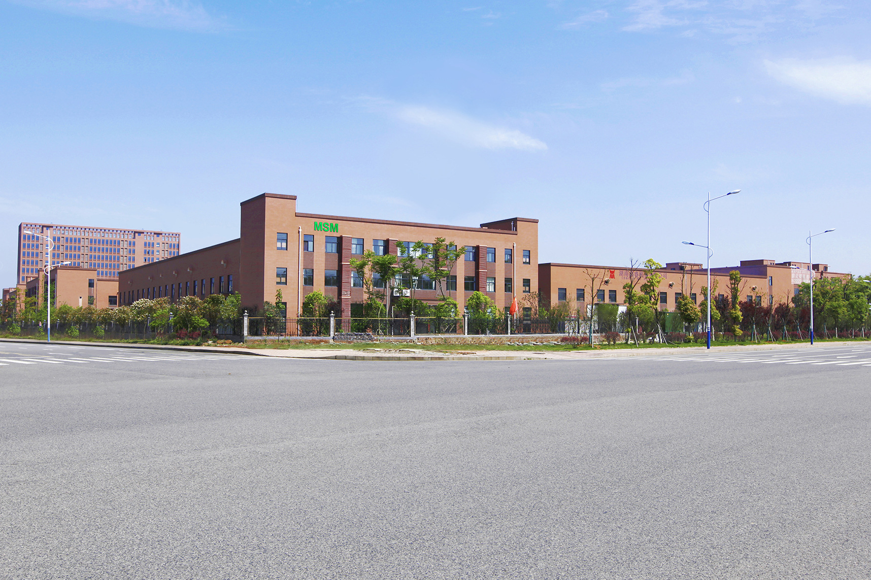 Dimethyl Sulfone Msm 20-40 Mesh Content 99.9% Factory Direct