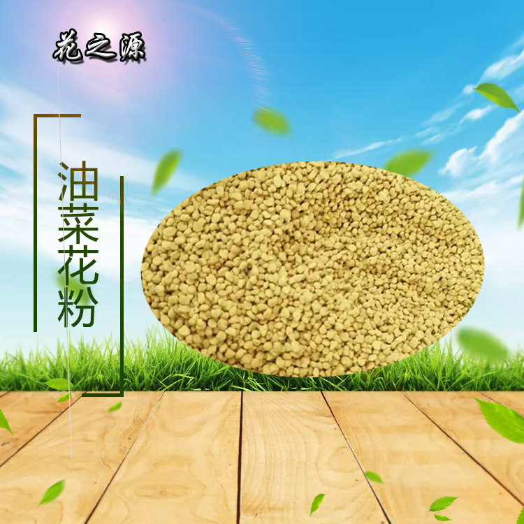 Пыльца рапса, пыльца рапса Цинхая, оптовая продажа пчелиной пыльцы