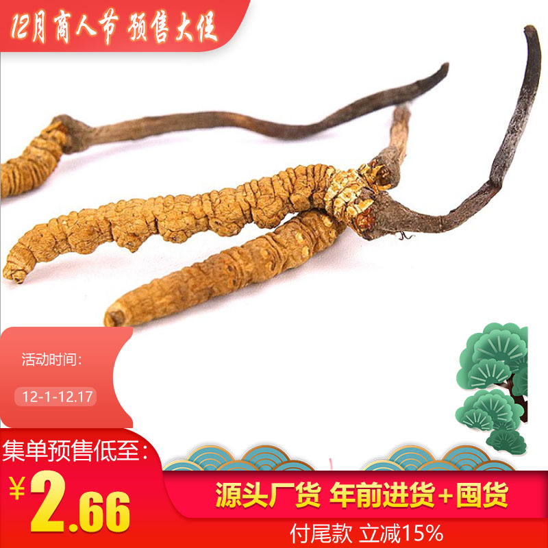 Xizang Cordyceps sinensis wholesale and retail Cordyceps sinensis wholesale high altitude early period Cordyceps sinensis nourishing sparkling wine can be ground powder