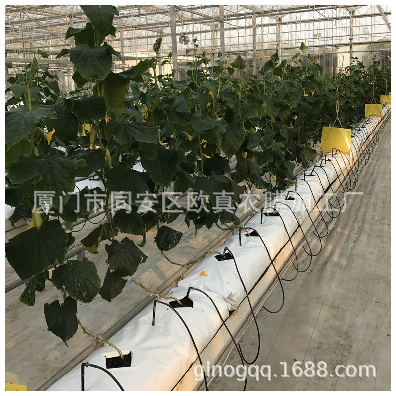 Пластиковые полоски для посадки белые снаружи и черные внутри, упаковочные мешки из кокосового волокна, полоски для культивации клубники, готовые к продаже