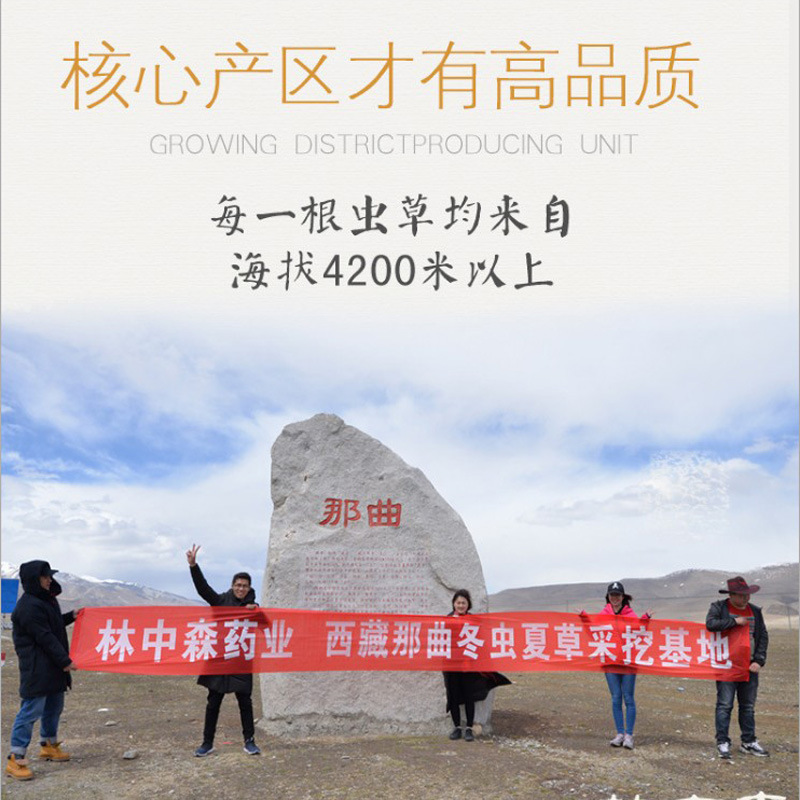 Тибет кордицепс синенсис оптовая и розничная продажа, оптовая продажа кордицепса синенсис, высокогорный ранний период кордицепса синенсис, питательное игристое вино, можно молоть в порошок