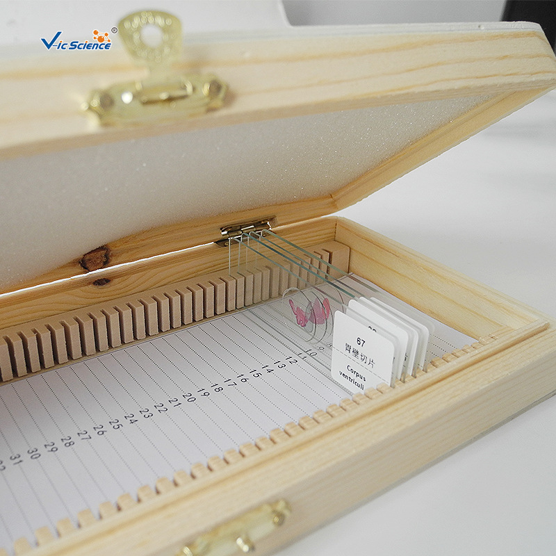 Factory Direct Supply 50-Piece Wooden Slide Box Medical Tissue Slide Box Biological Slide Wooden Box