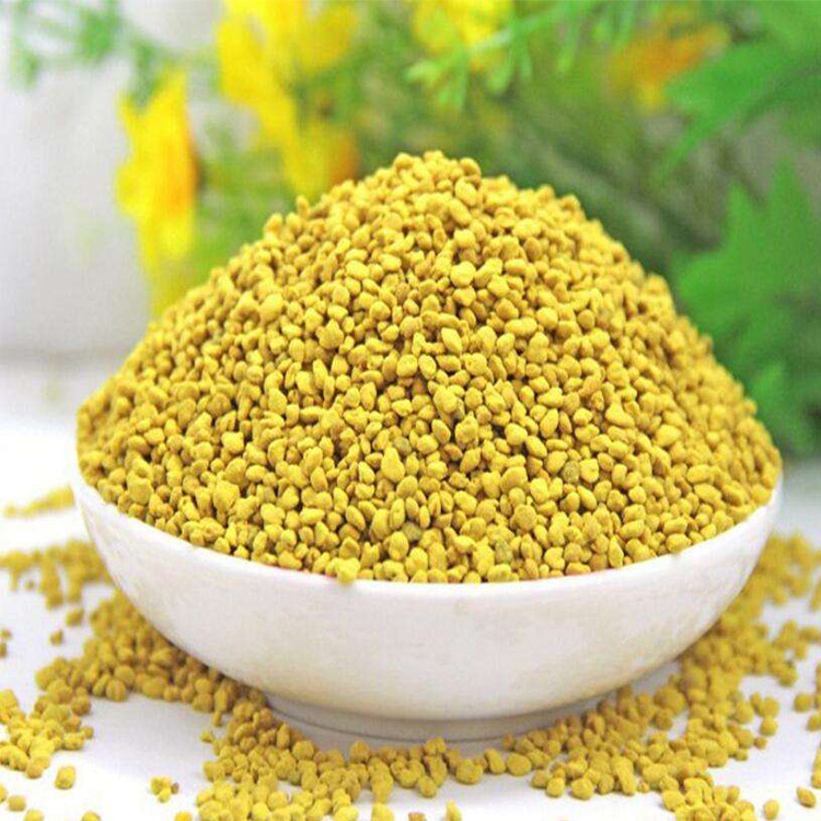 Pollen rape pollen Qinghai rape pollen rape bee pollen wholesale bee pollen