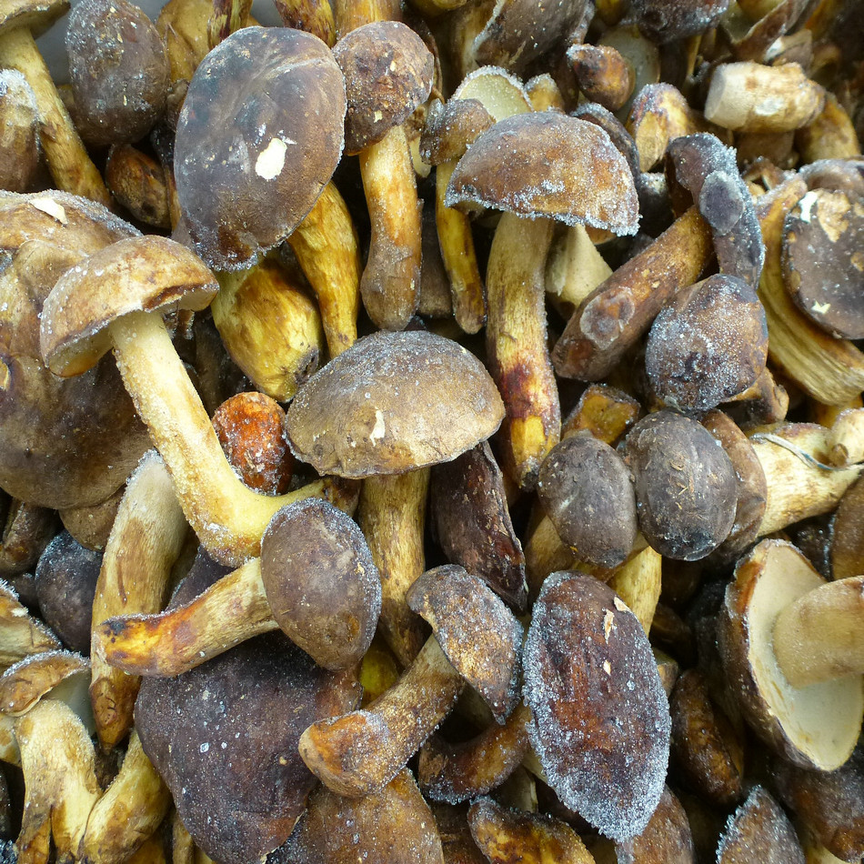 [yu Fungus Long] Black Beef Liver Frozen Beef Lung Black Beef Liver Frozen Products Hotel Hot Pot Restaurant Black Beef Liver Wholesale