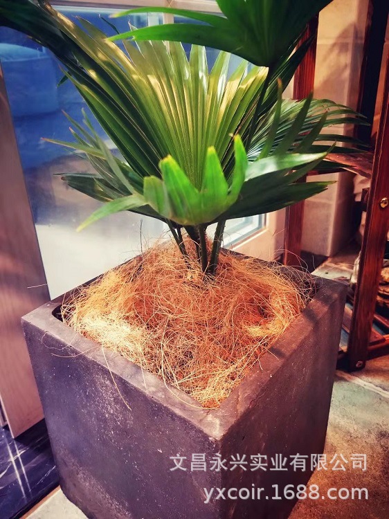 Retail Hainan Coconut Palm Silk Gardening Flower Pots with Surface Covering Plants That Are Moisturizing, Breathable and Succulent