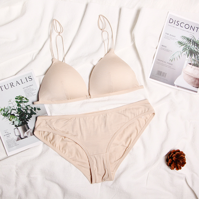 French Beautiful Back Intimates Front Button Bra Set Triangle Cup Young Ladies Student Bra No Steel Ring Sexy Export