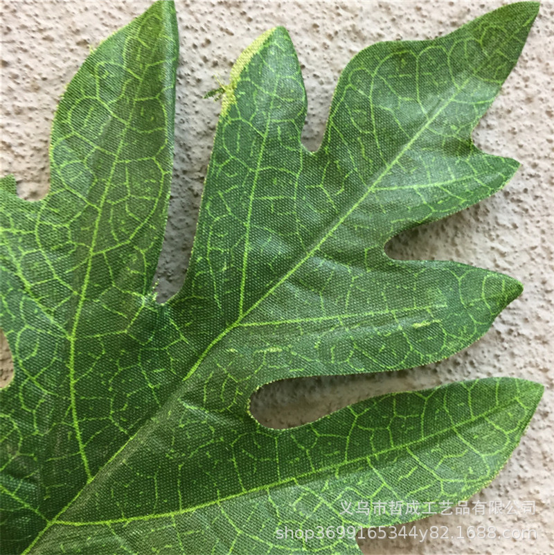 Artificial Flower ins Wind leaves decoration green plant turtle back leaves papaya leaves indoor photography props