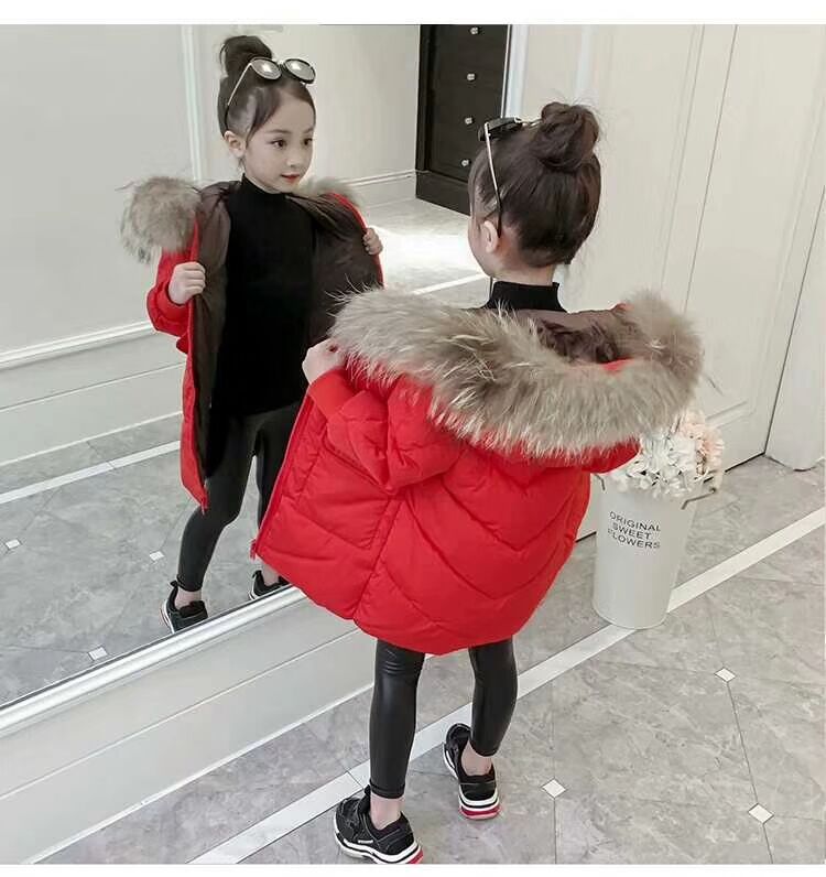 2019 Winter New Children's Wear Big Children's Hooded Children's Down Jacket Solid Color Short Korean Style Wool Collar Removable for Boys and Girls