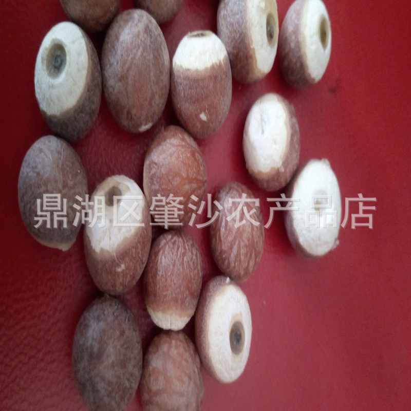 Directly Supplied from the Place of Origin, Zhaoqing Gorgon Rice 13cm Round Capsules 500g Gorgon Rice Chicken Head Rice Agricultural Products Wholesale Large Volume and Excellent Price