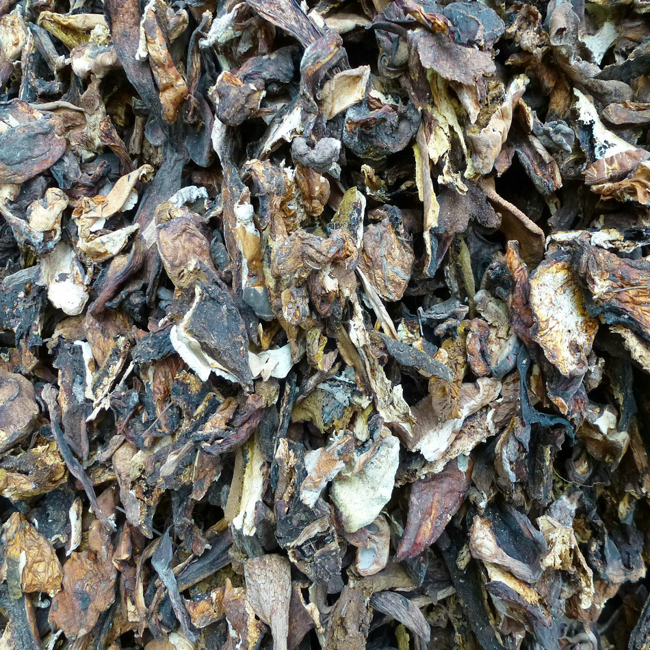 [yushanlong] Delicious Porcini Mushroom, Hot Pot Soup Mushroom, Hanging Soup Mushroom Soup Base, Direct Sales from the Origin