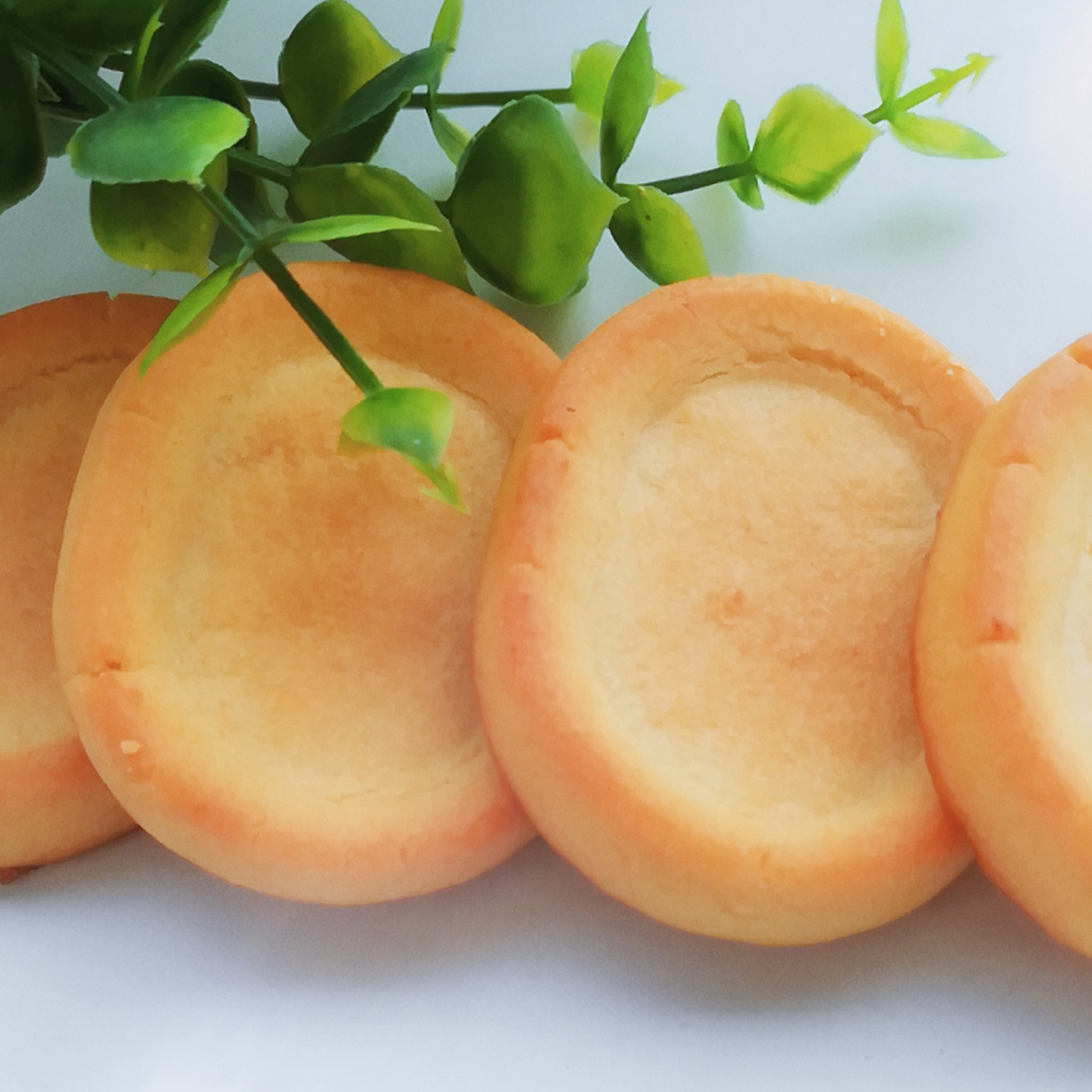 Customized Biscuits, Tough and Crispy Biscuits, Meal Replacement Biscuits, Oem Processing Manufacturer