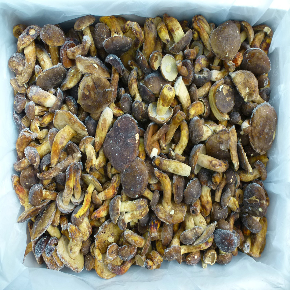 [yu Fungus Long] Black Beef Liver Frozen Beef Lung Black Beef Liver Frozen Products Hotel Hot Pot Restaurant Black Beef Liver Wholesale