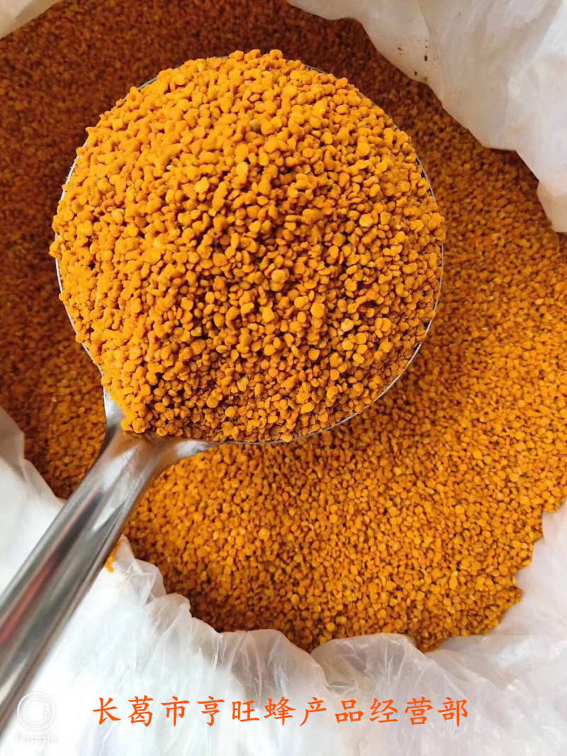 Factory wholesale tea pollen fresh bee pollen Camellia powder non-broken Wall high activity 500g bee farmers produce