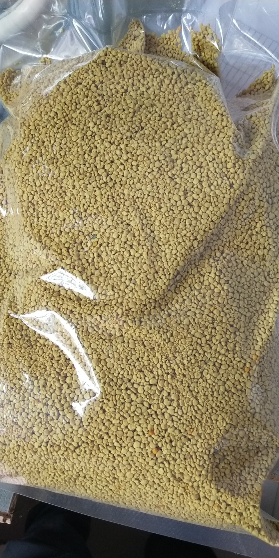 Pollen rape pollen Qinghai rape pollen rape bee pollen wholesale bee pollen