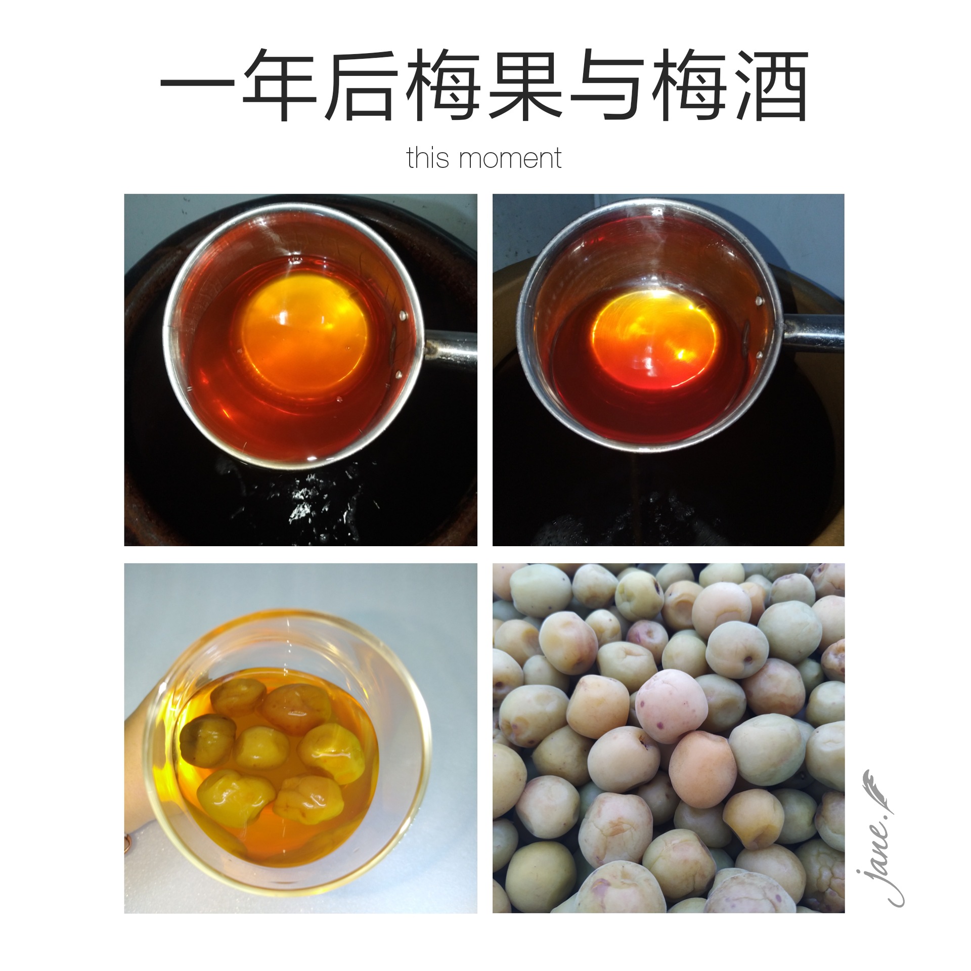Cenmei Qingmei Liquor Oem Plum Wine Homemade Fruit Wine Private Label Wholesale Original Fruit-Flavored Homemade Puree