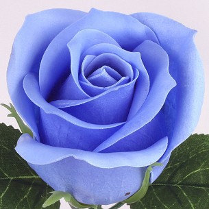 Wedding 4-Layer Cold Beauty Large Rose Soap Flower Head Flower Shop Bouquet Gift Box DIY Packaging Material Soap Flower