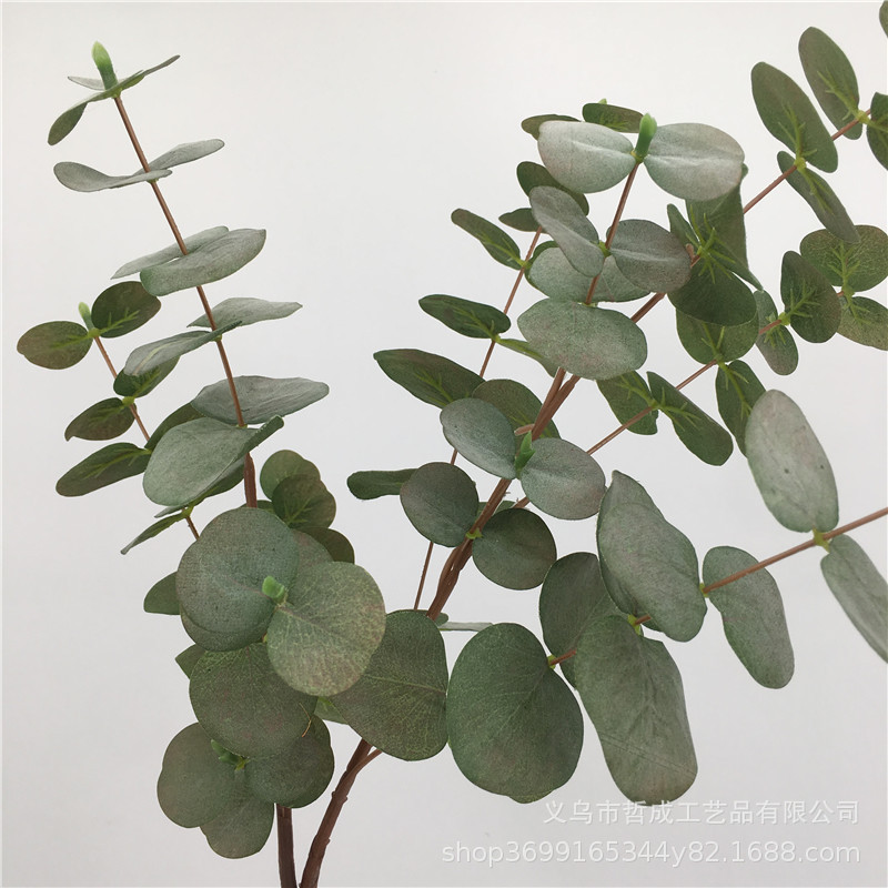 Artificial autumn color eucalyptus money leaf artificial leaves eucalyptus wedding decoration silk flower arrangement hand holding flower material