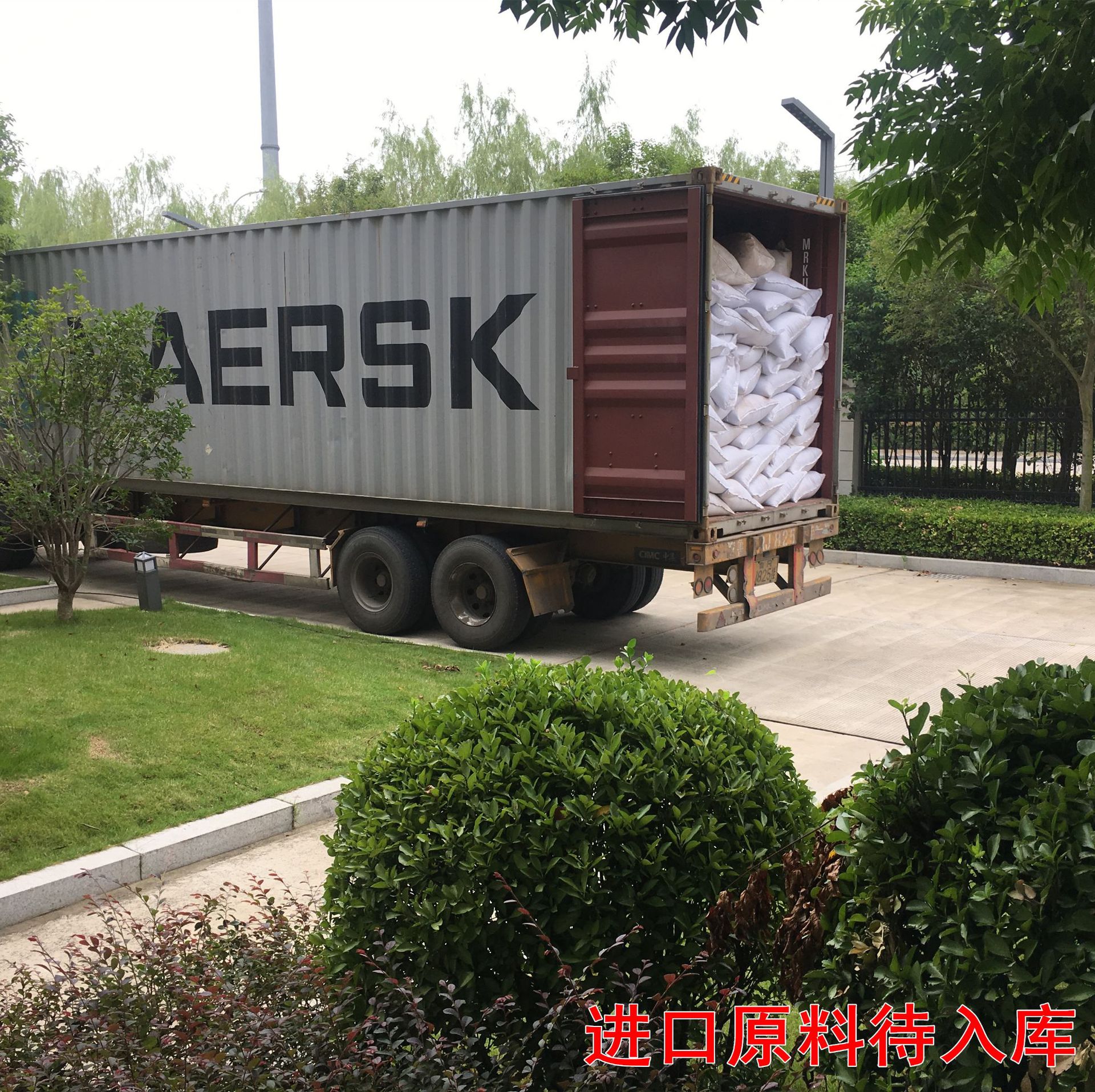 High-Quality Cassia Seeds, Computer Color Selection and Polishing, Pillow Beach Toys, First-Hand Source, Factory Direct Sales