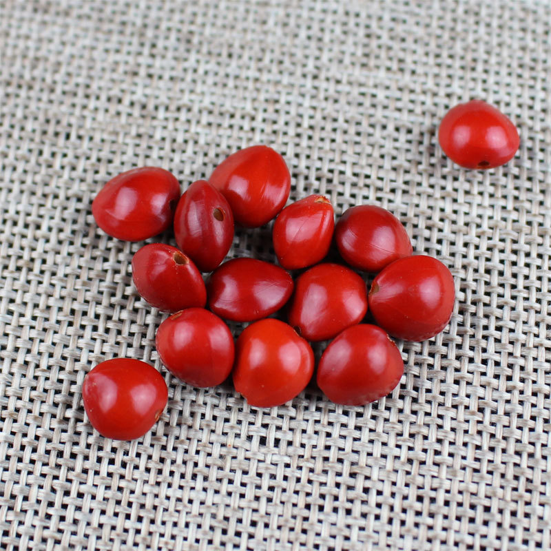 Tanabata gift couple Acacia beans loose beads DIY beads jewelry accessories red heart Bodhi life year red beans wholesale