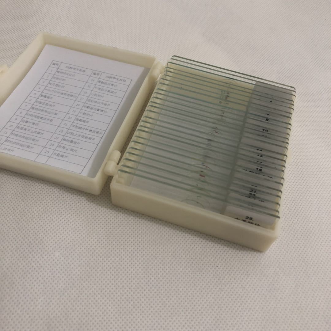 Microscope biological slice biological specimen specimen slice 25 pieces suit