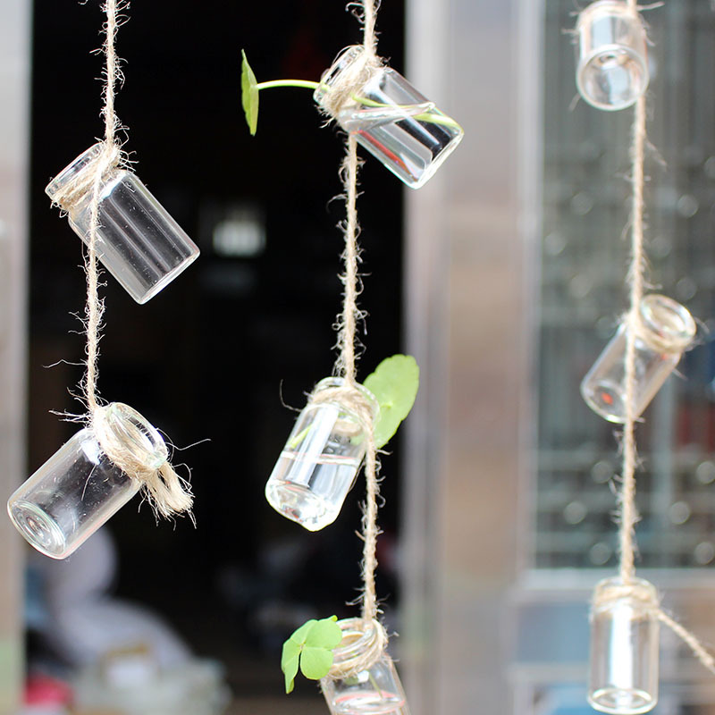 ins Style Small Bottle Transparent Glass Bottle Small Size Fleshy Vase Mini Hanging Water Plant Flower Apparatus