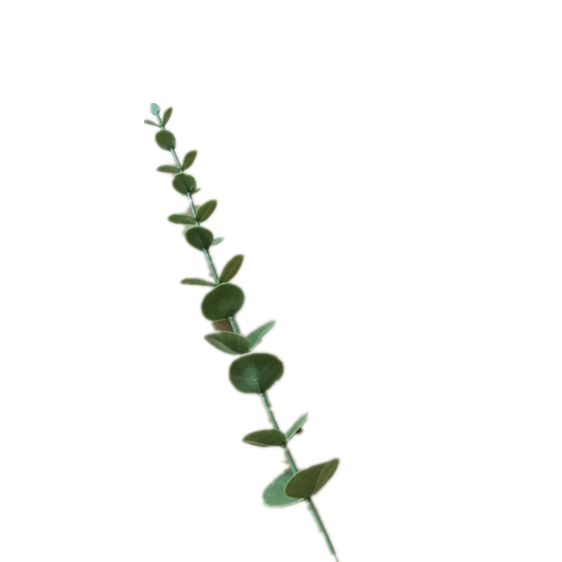 Single simulation eucalyptus green wedding home floral design leaf plastic single fork money string leaves