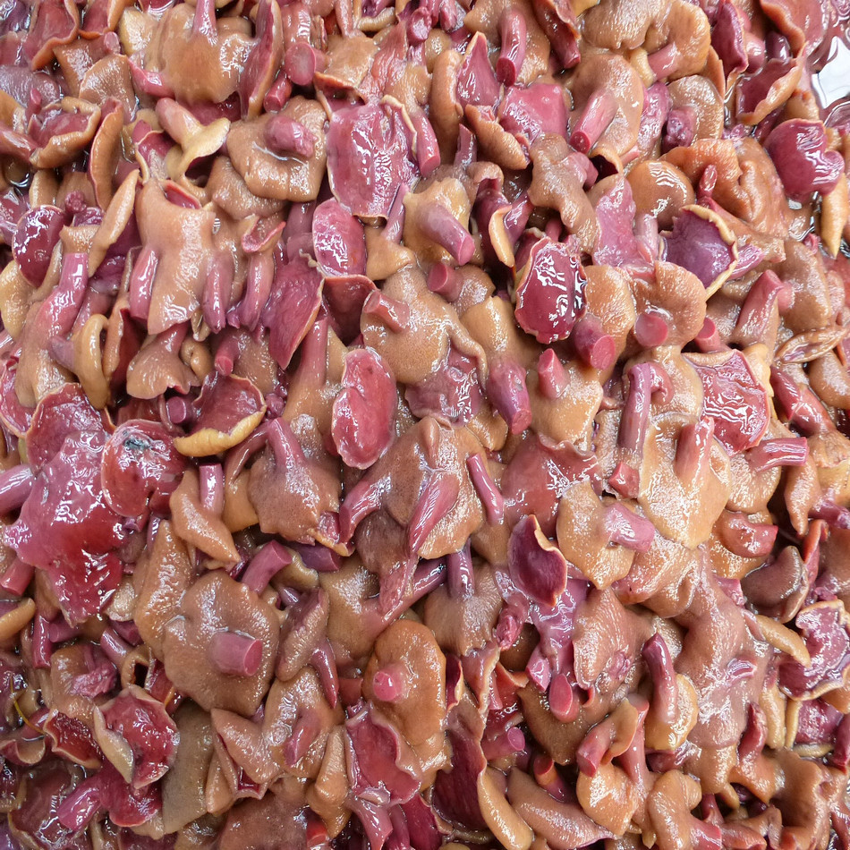 【Yujunlong】Red Milk Oyster Mushrooms, Salted Red Milk Oyster Mushrooms, Red Milk Mushrooms, Wild Yunnan Red Milk Oyster Mushrooms