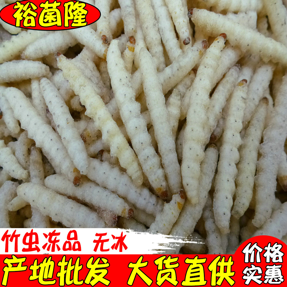 [Юцзюньлонг] Быстро замороженные бамбуковые черви без льда, оптовая продажа замороженного продукта для гостиничного питания, большой запас