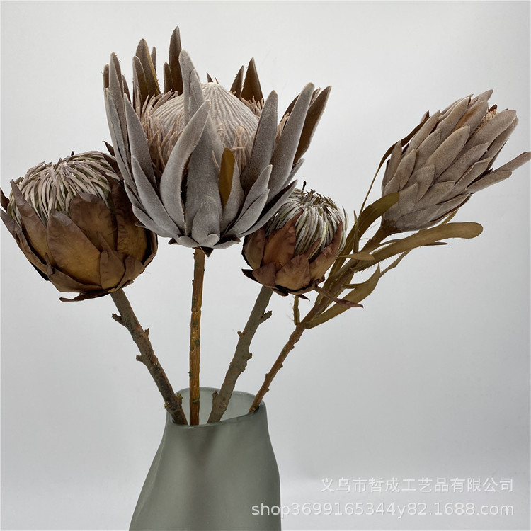 Искусственный цветок, высушенное тропическое растение, цветок императора, искусственный цветок, декор для пола в гостиной, цветочная композиция для обеденного стола