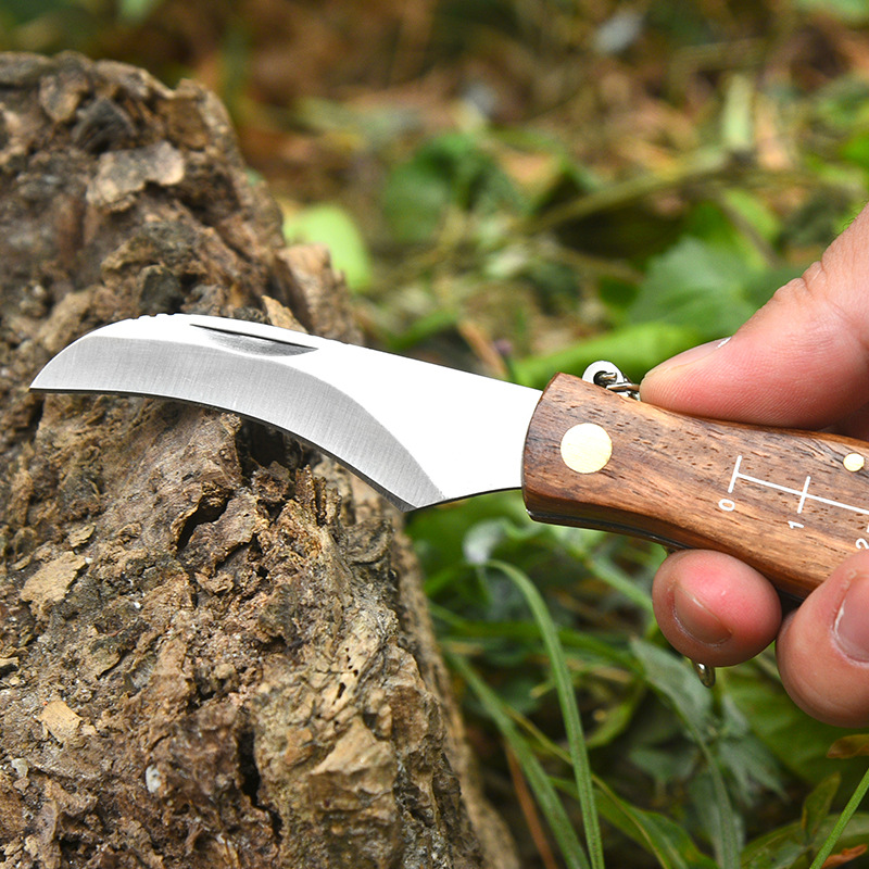 Rosewood mushroom knife multifunctional outdoor knife camping knife brush outdoor survival folding knife folding knife