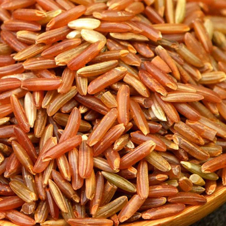 Supply of Low-Temperature Baked Grains, Wholesale Grains, Grains, Freshly Ground, Cooked Red Rice, Eight-Treasure Rice