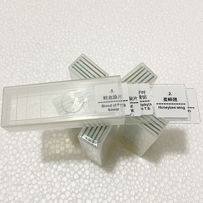 Microscope biological slice biological specimen biological slide 5/10/15/25/50/100/200 kinds suit