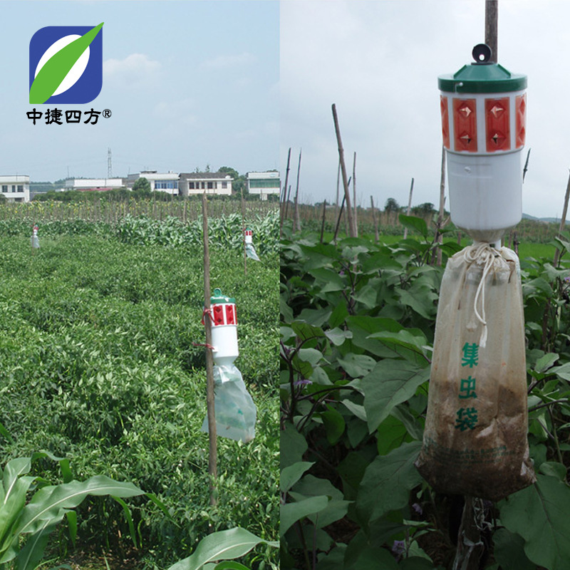 Zhongjie square beet armyworm pheromone core-inducing agent agricultural insect-removing vegetable-inducing agent PVC single root