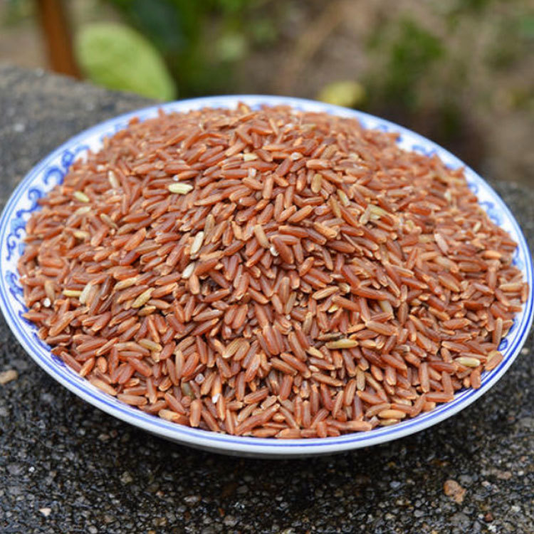 Supply of Low-Temperature Baked Grains, Wholesale Grains, Grains, Freshly Ground, Cooked Red Rice, Eight-Treasure Rice