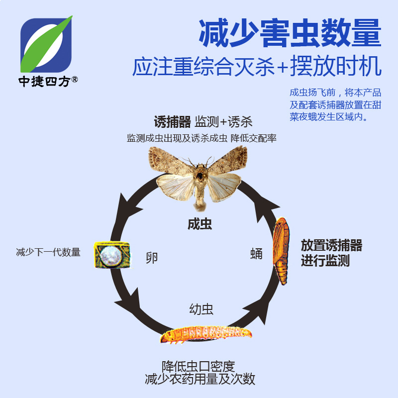 Zhongjie square beet armyworm pheromone core-inducing agent agricultural insect-removing vegetable-inducing agent PVC single root