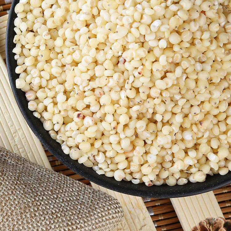 Wholesale fried white sorghum low temperature baking grain grain grinding raw material white sorghum bulk wholesale