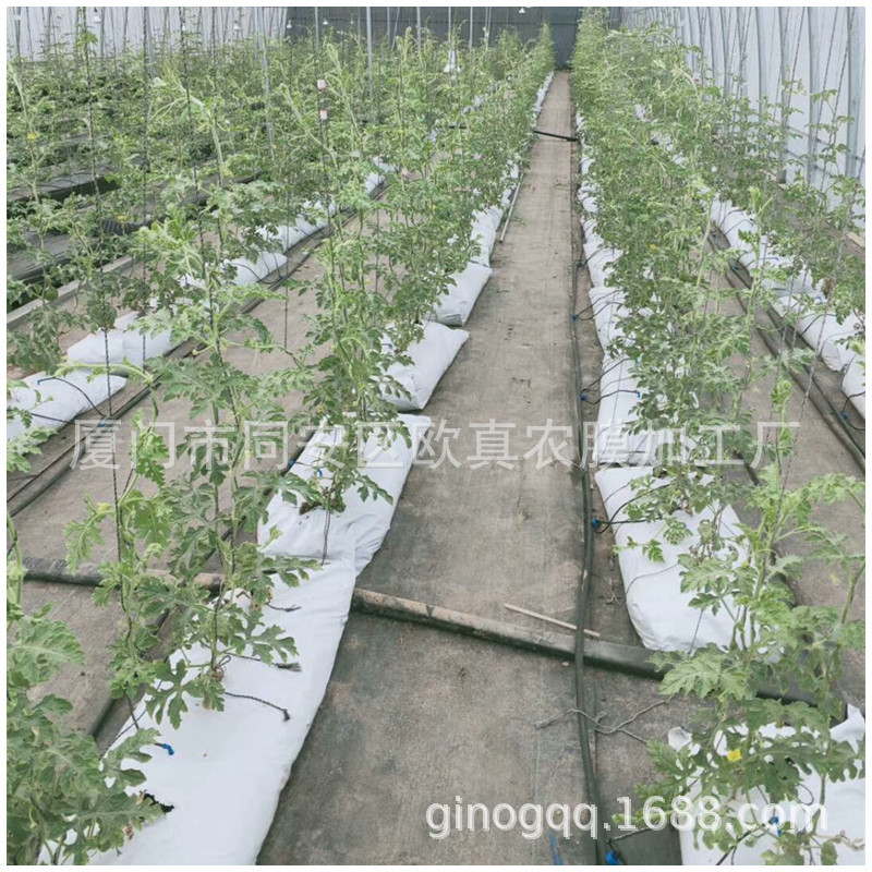 Matrix Bag Strawberry Tomato Fruit and Vegetable Cultivation Planting Strips Coconut Bran Peat Soil Matrix Planting Bag