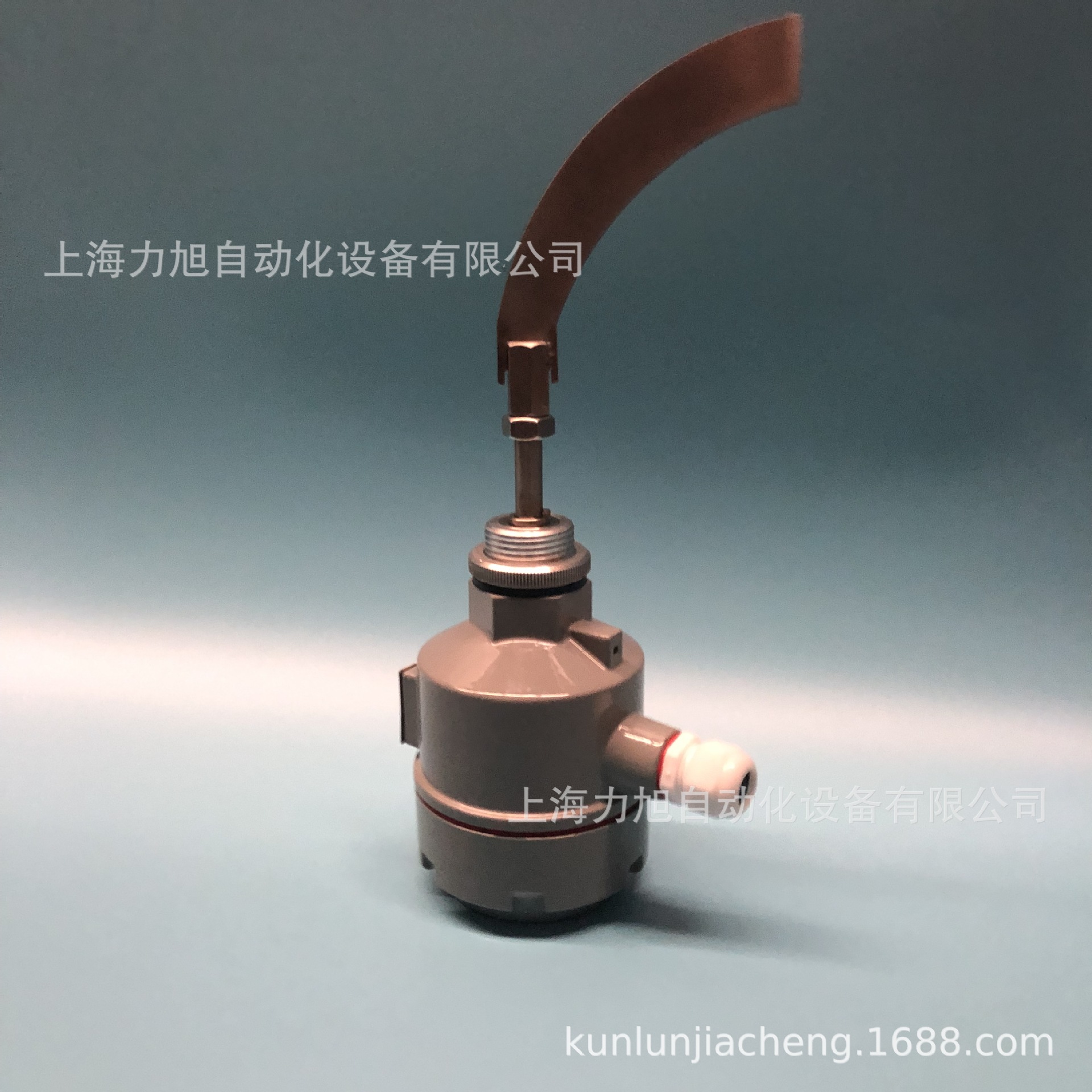 Supply anti-rotation level meter/level switch/powder special level meter/switch level controller free shipping