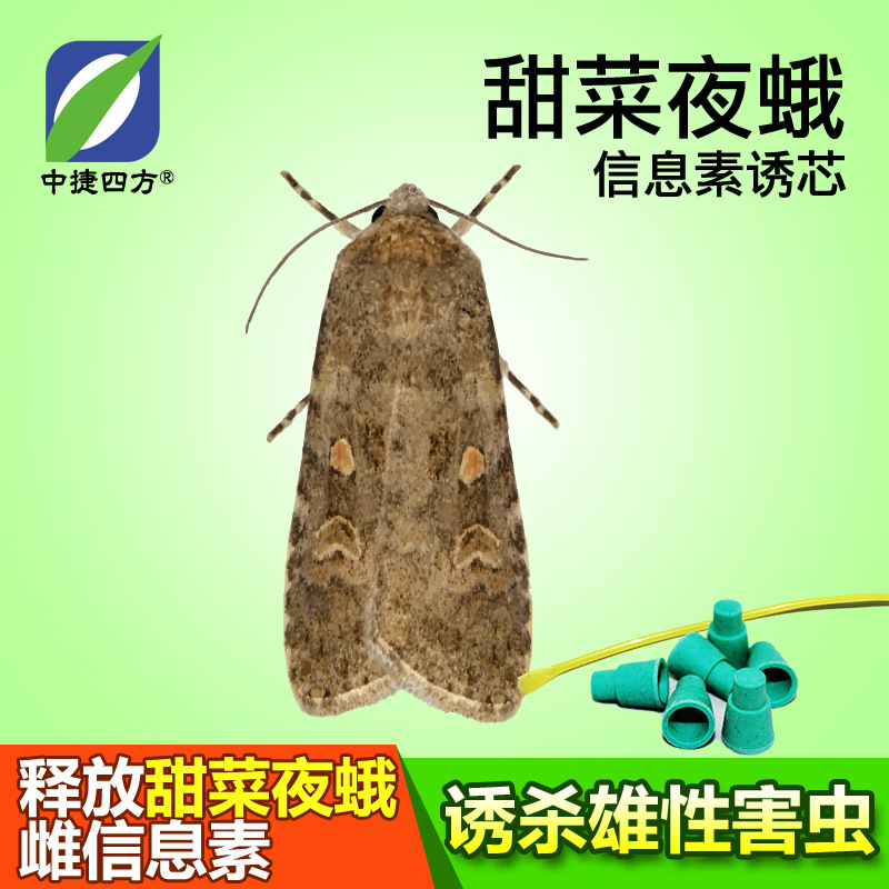 Цзунцзие квадратный феромонный агент для армейского червя свеклы агрономический инсектицид для овощей ПВХ одно корневое