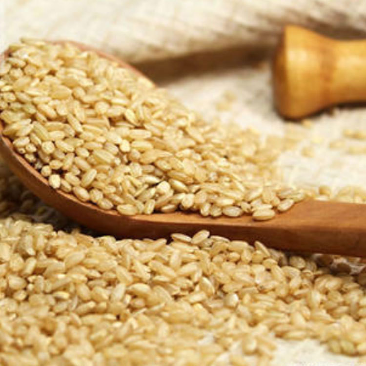 Supply low-temperature baking cereals bulk wholesale brown rice grain mill freshly ground cooked brown rice