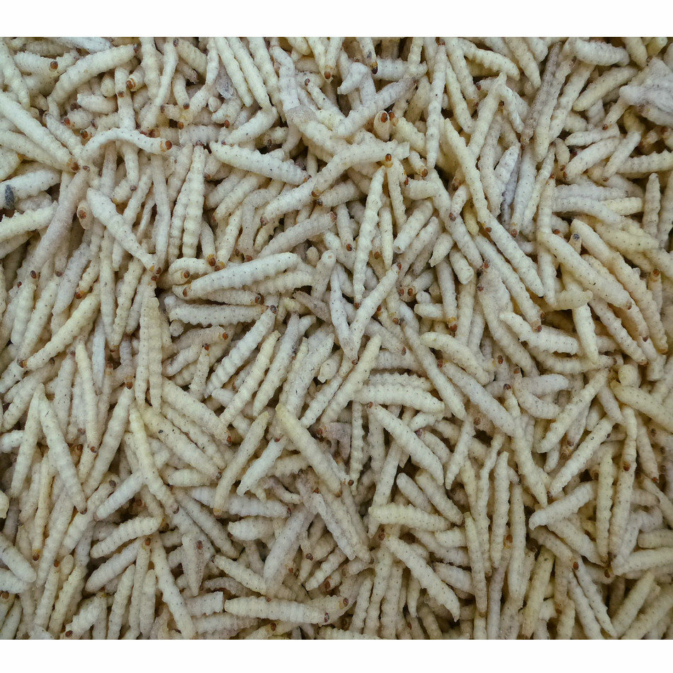[Yujunlong] Bamboo Worm Quick-Frozen Ice-Free Bamboo Worm Frozen Product Wholesale Hotel Ingredients Large Supply